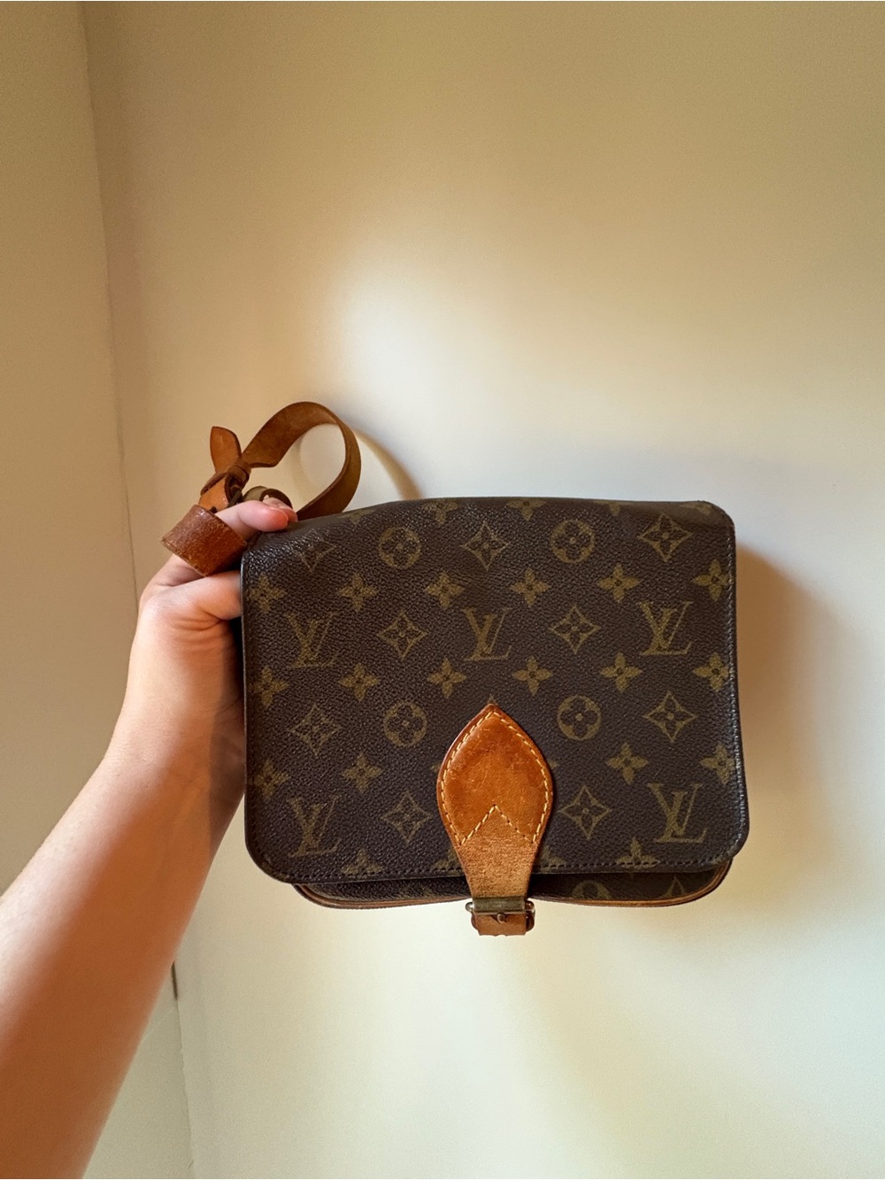 Louis Vuitton Cartouchiere MM Monogram Canvas Crossbody